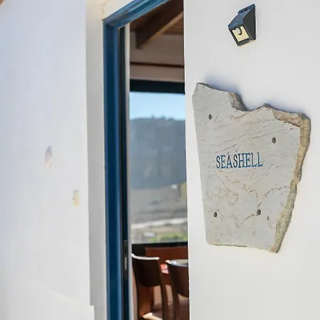 Seashell *